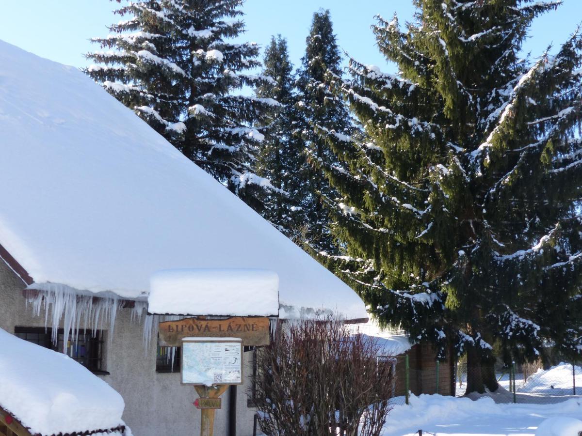 Apartmány Plischke Lipová-lázně Exterior foto